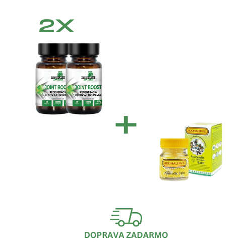 2x JointBoost + 1x Masť na kĺby (Siddhalepa, 25g)